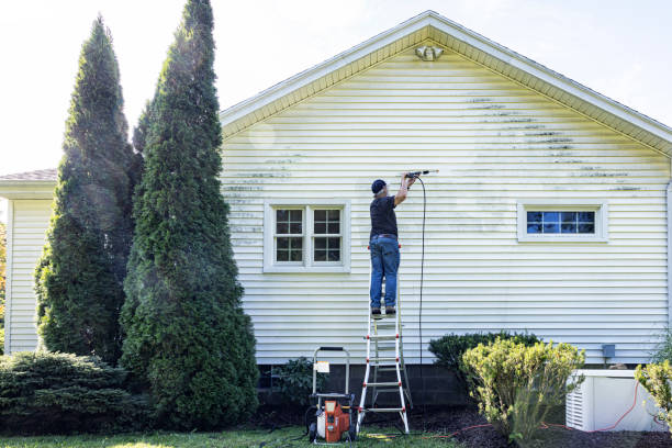 Best Deck Cleaning Services  in Lynnville, IN