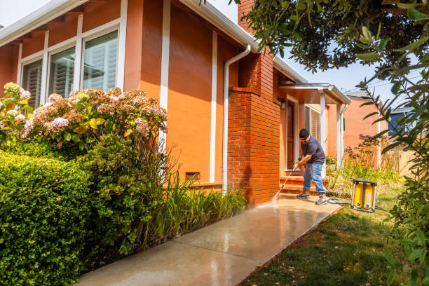 Best Local Pressure Washing Services  in Lynnville, IN