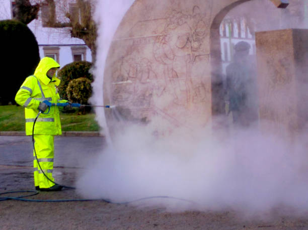 Best Pressure Washing Driveway  in Lynnville, IN