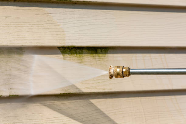 Best Exterior Home Cleaning  in Lynnville, IN